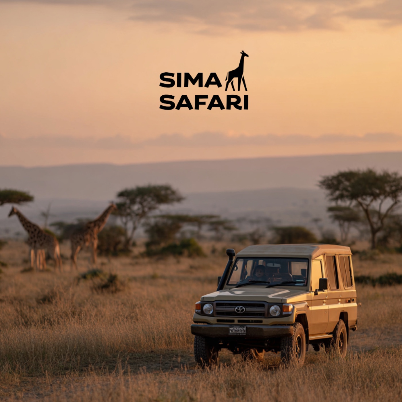 Sima Safari project
