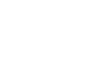 FlyByFly
