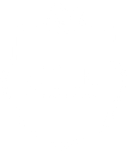 Silk Forever Flowers
